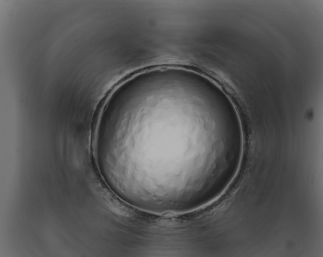 X0000089931220200707061032