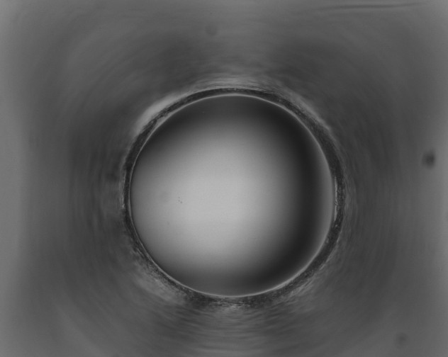 X0000089931222200707061033