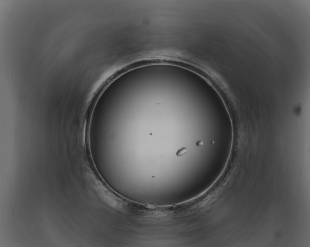 X0000089931224200707061033