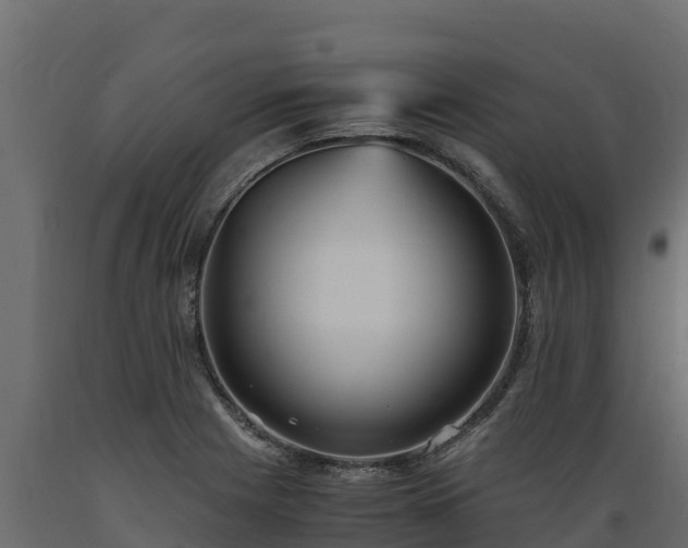 X0000089931225200707061033