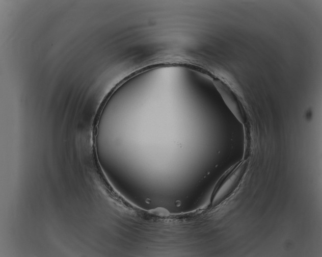 X0000089931226200707061033