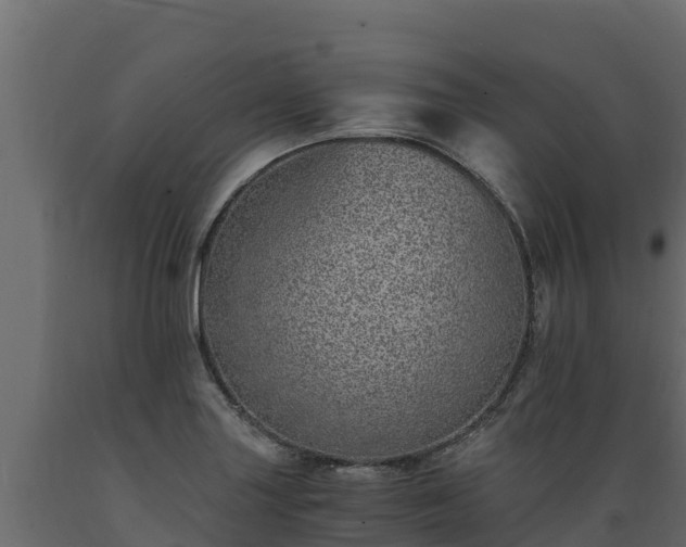 X0000089931227200707061033