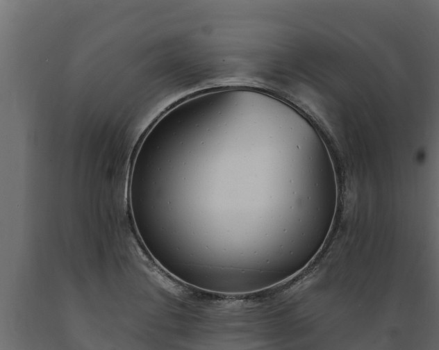 X0000089931228200707061033