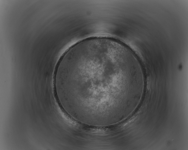 X0000089931229200707061033