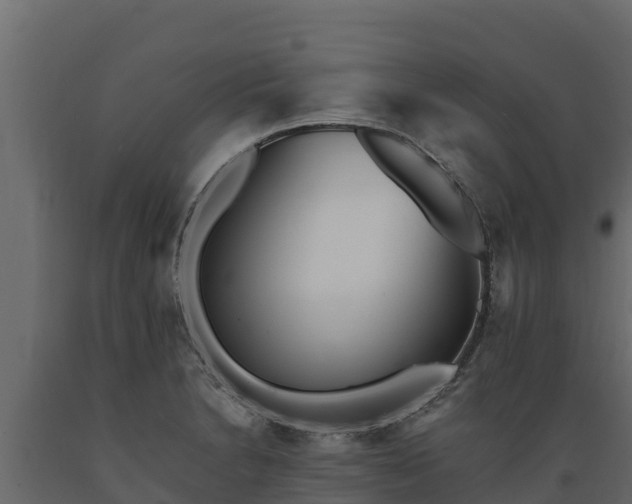 X0000089931230200707061033