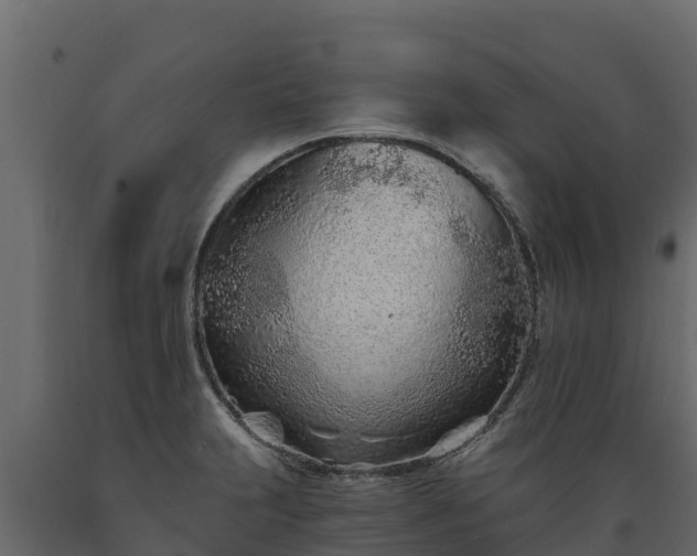 X0000089931231200707061033