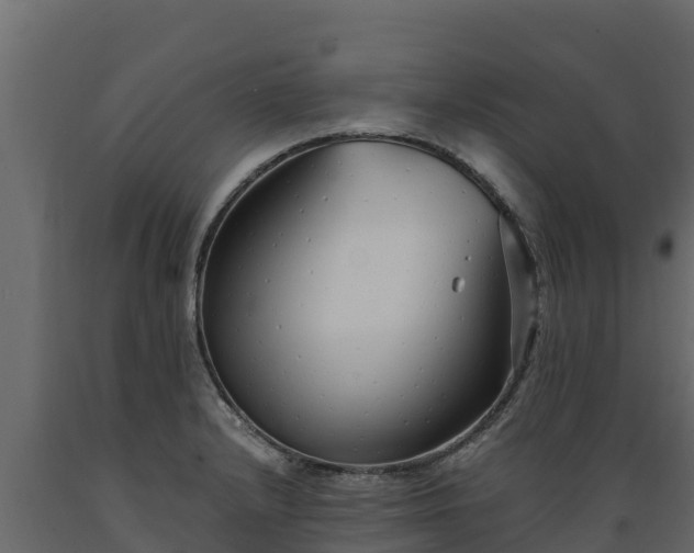 X0000089931232200707061033