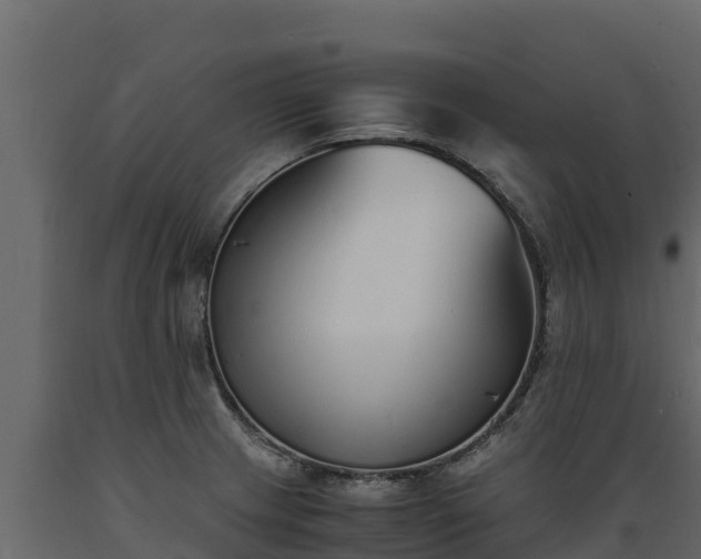 X0000089931233200707061033