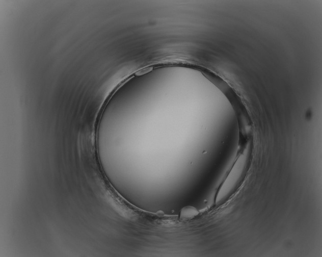 X0000089931234200707061033