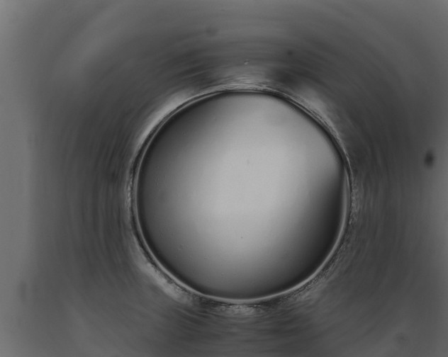 X0000089931235200707061033