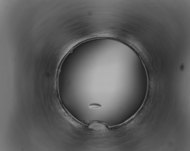 X0000089931236200707061033