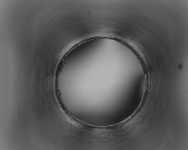 X0000089931237200707061033