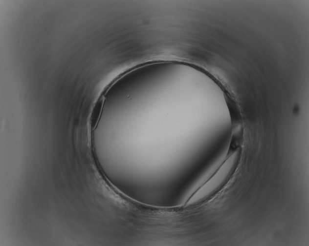 X0000089931238200707061033