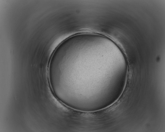 X0000089931239200707061033