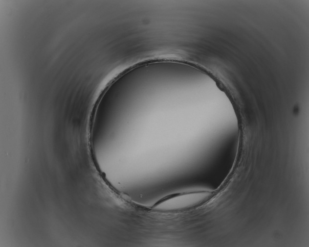 X0000089931240200707061033