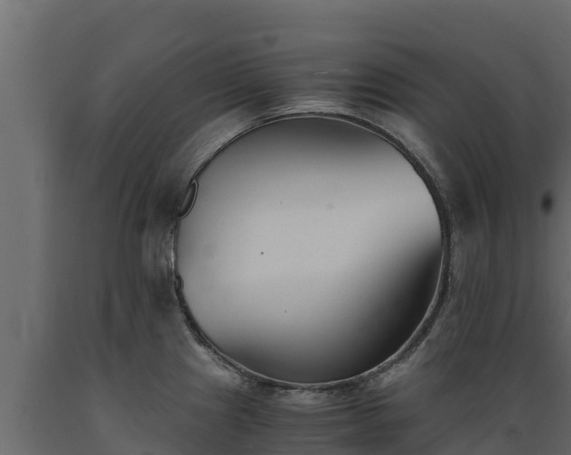 X0000089931241200707061033