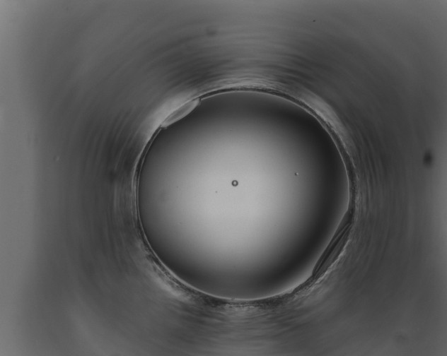 X0000089931242200707061033