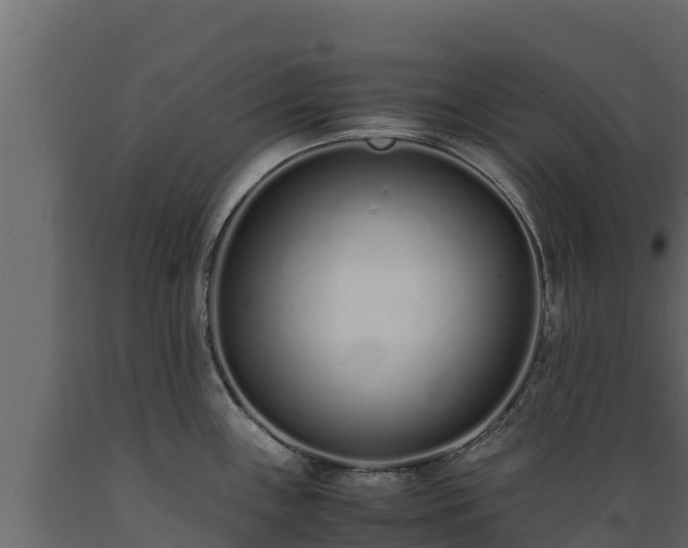 X0000089931243200707061033