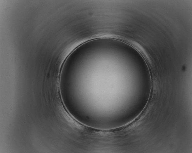 X0000089931244200707061033