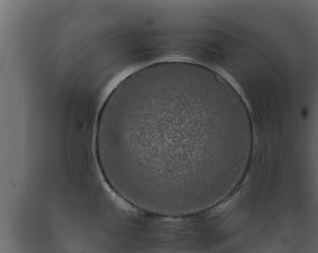 X0000089931245200707061033