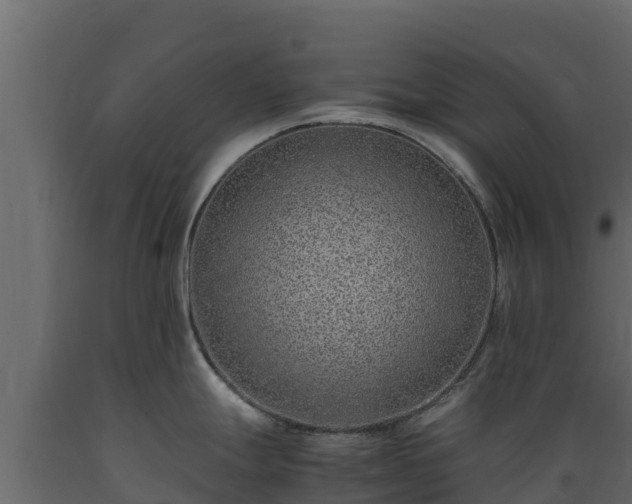 X0000089931247200707061033