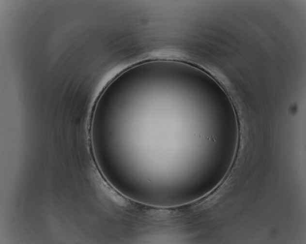 X0000089931248200707061033