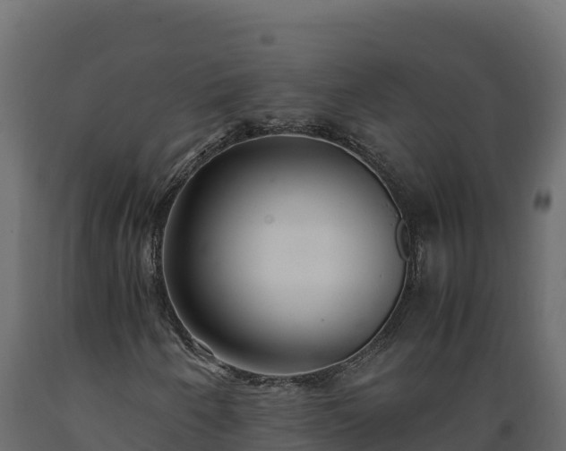 X0000089931250200707061032