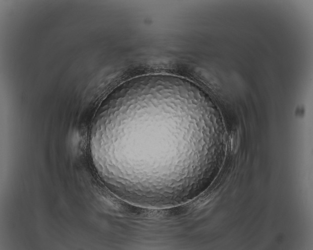 X0000089931251200707061032