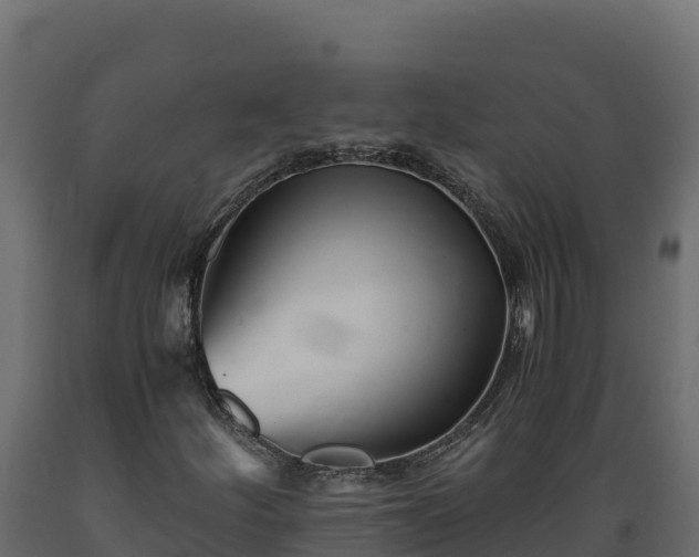 X0000089931252200707061032