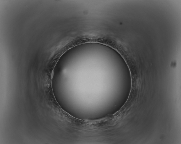 X0000089931253200707061032