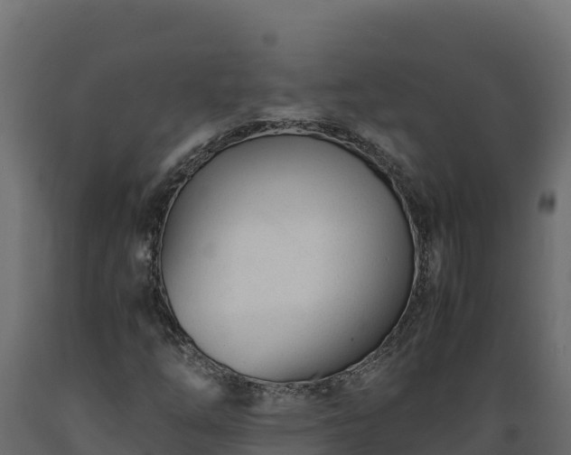 X0000089931254200707061032