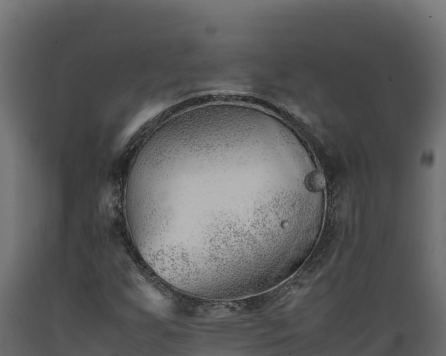 X0000089931255200707061032