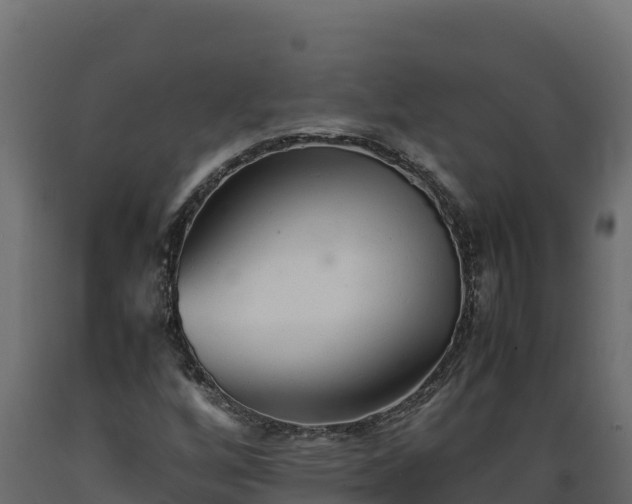 X0000089931256200707061032