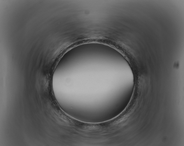 X0000089931257200707061032