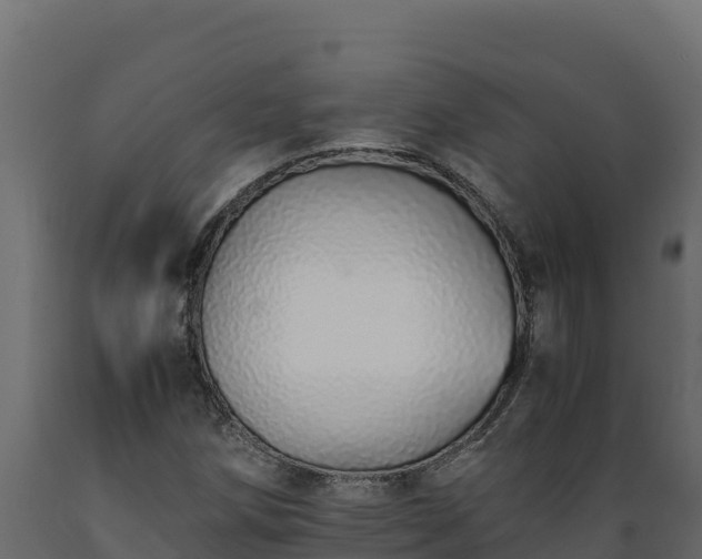 X0000089931258200707061032