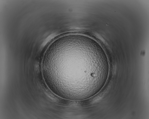 X0000089931259200707061032