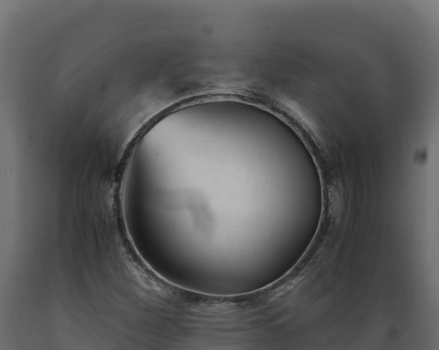 X0000089931260200707061032