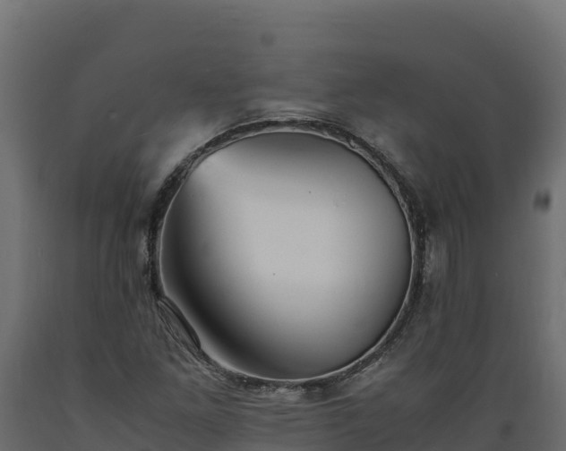 X0000089931261200707061032