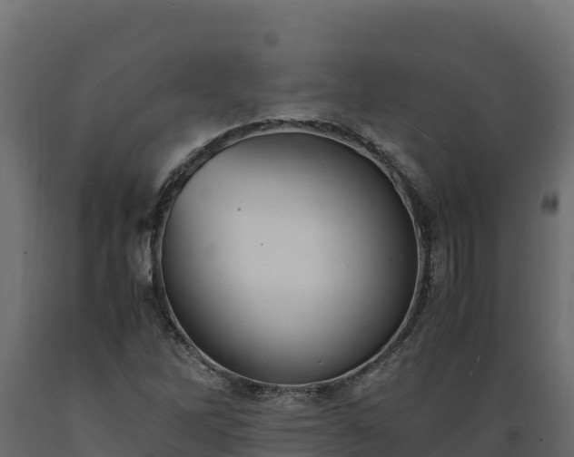 X0000089931262200707061032