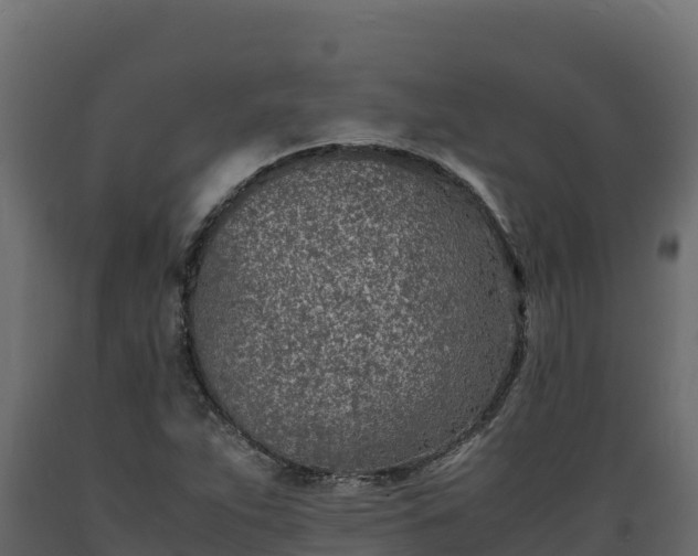 X0000089931263200707061032