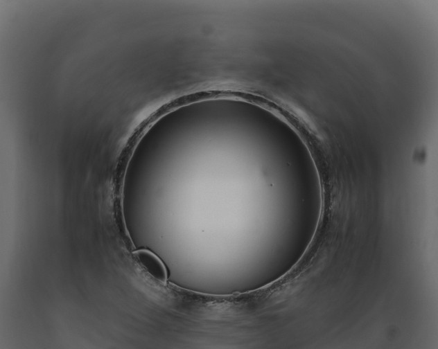 X0000089931264200707061032