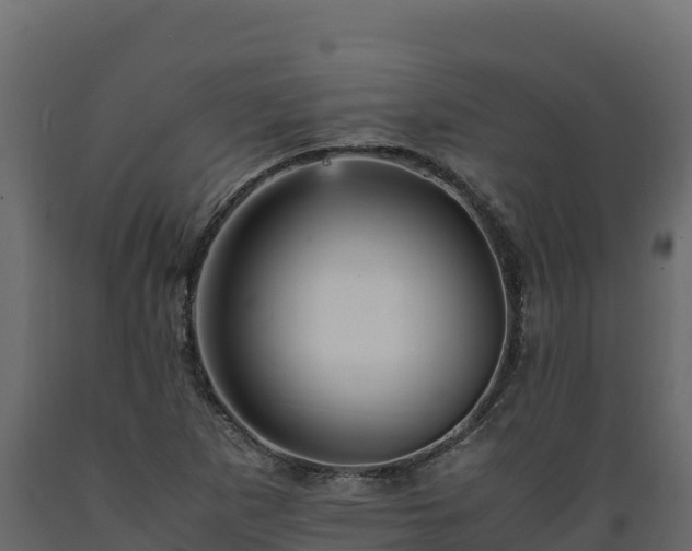 X0000089931265200707061032