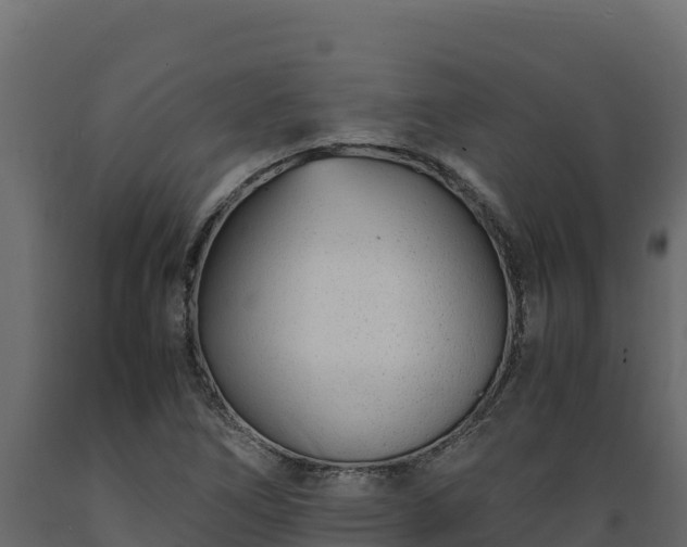 X0000089931266200707061032