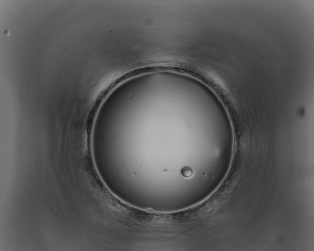 X0000089931267200707061032