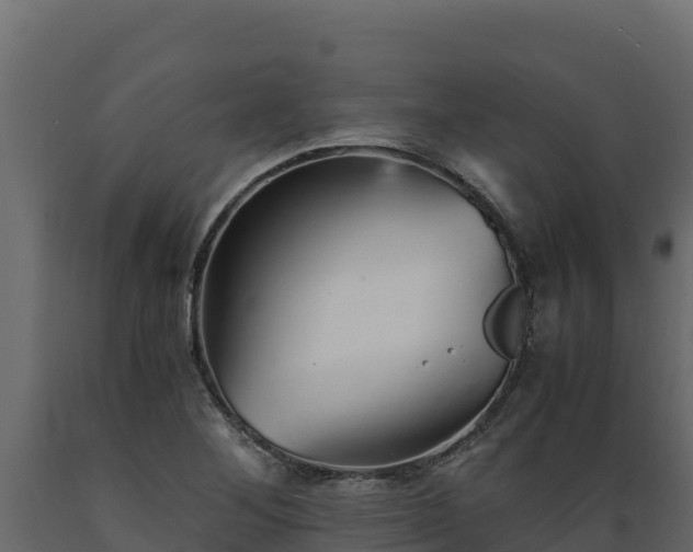 X0000089931268200707061032