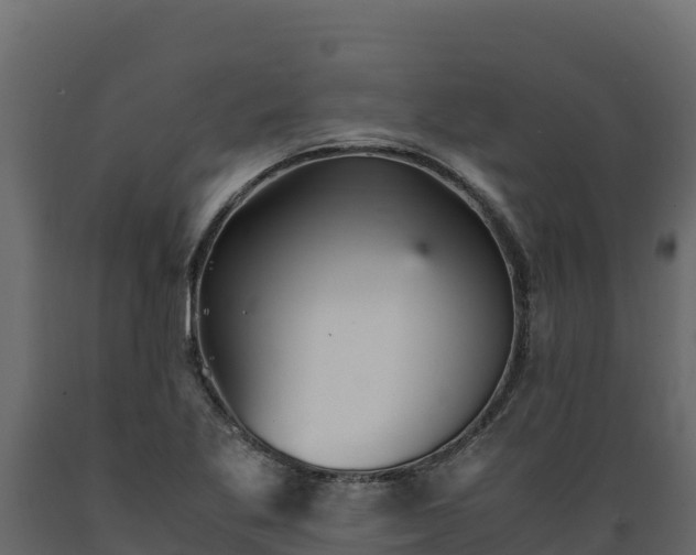 X0000089931269200707061032