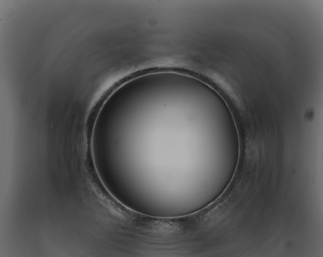 X0000089931270200707061032