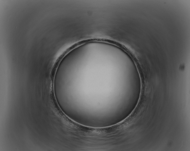 X0000089931271200707061032