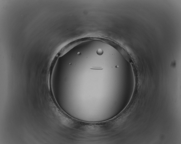 X0000089931272200707061032