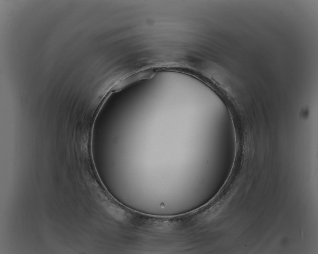 X0000089931273200707061032